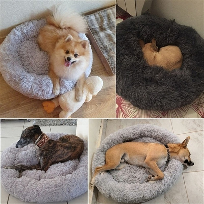 Cama para Mascotas Razas Grandes
